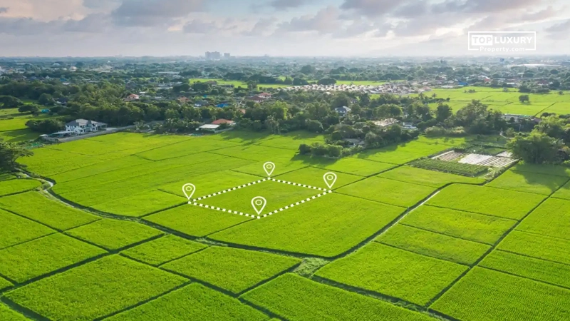 Lush green land demarcated with boundary pins for ideal plot selection