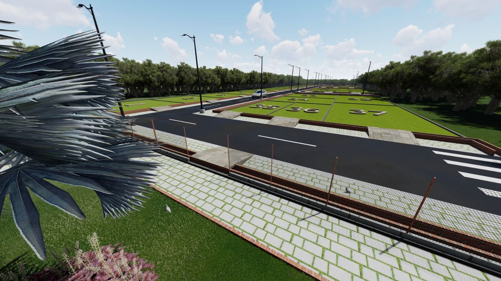 Broad Asphalt Roads Green Valley